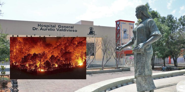 ¡Trágico incendio! Muere adolescente tras combatir incendio en Santa María Peñoles