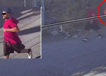 VIDEO | ¡Indignación en San Martín Mexicápam! Captan a sujeto incendiando terreno baldío en medio de la crisis de incendios forestales