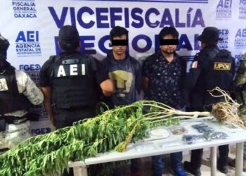 Se aseguraron bolsas con drogas conocidas como cristal y marihuana.