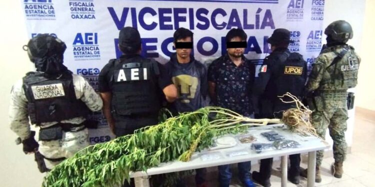 Se aseguraron bolsas con drogas conocidas como cristal y marihuana.