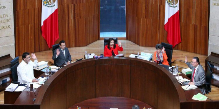 Luz verde a la promoción del gobierno a elección Judicial