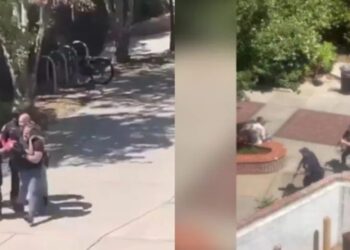 ¡Terror en universidad de Florida! Tiroteo deja dos muertos y varios heridos; el atacante está bajo custodia