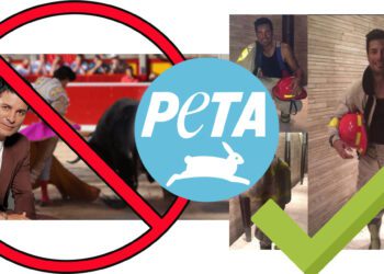 PETA pide a Chayanne cambiar el nombre de “Torero”