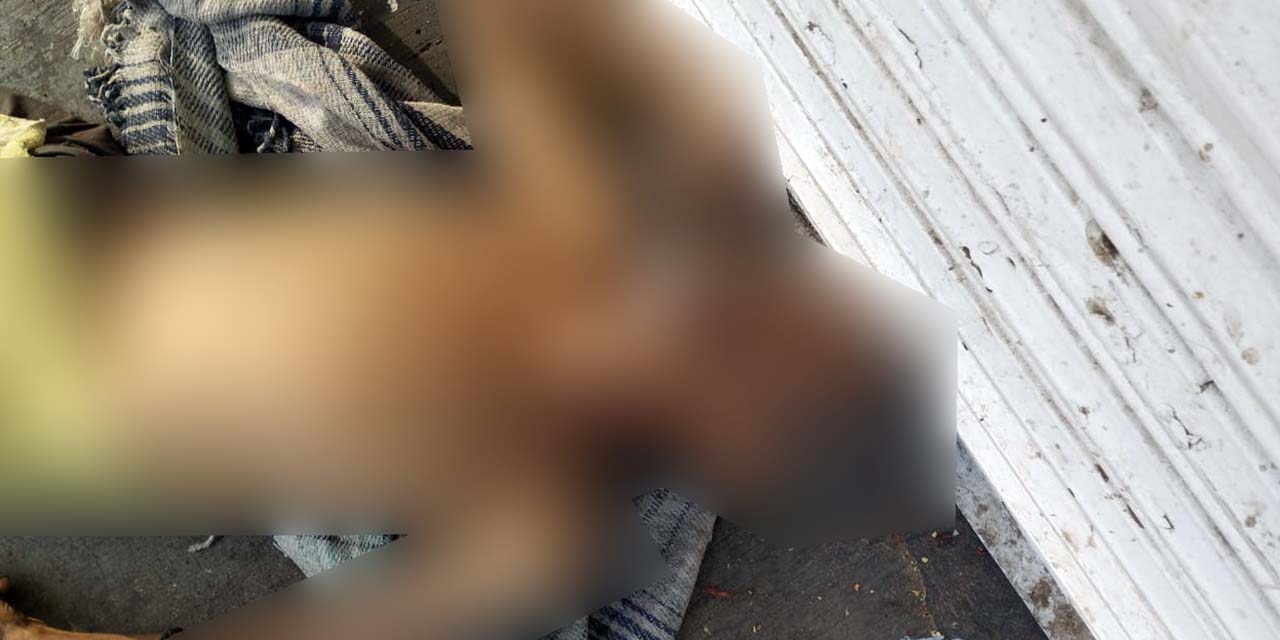 Hallan a hombre sin vida en la colonia Cosijoeza. Noticias en tiempo real