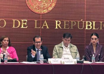 Foto: internet // Víctor Hugo Pérez Rojas, gerente nacional de Abasto Social de Leche para el Bienestar, en sesión plenaria con senadores.