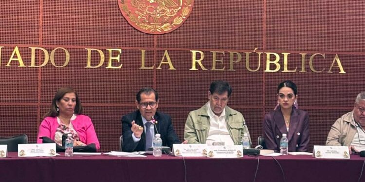 Foto: internet // Víctor Hugo Pérez Rojas, gerente nacional de Abasto Social de Leche para el Bienestar, en sesión plenaria con senadores.