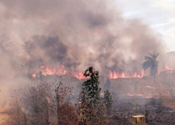 El incendio lleva dos días consumiendo flora y fauna.