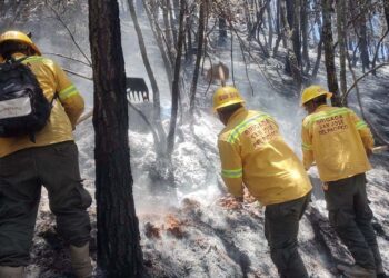 Costó tres vidas, pero controlan el incendio en Peñoles