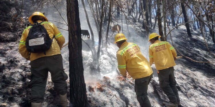 Costó tres vidas, pero controlan el incendio en Peñoles