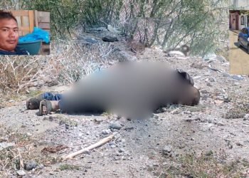 “Salió a vender flores… y no volvió”: Lo atropellan en Puente Madera, conductor escapan
