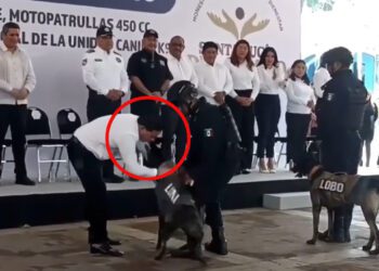 ¡Por poquito! Edil de Santa Lucía esquiva mordida de perro K9 durante acto protocolario