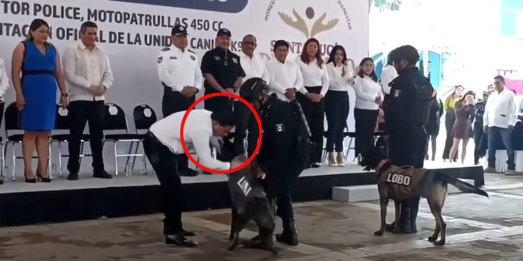 ¡Por poquito! Edil de Santa Lucía esquiva mordida de perro K9 durante acto protocolario
