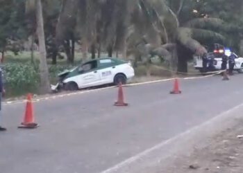 ¡Fin del viaje! Taxista pierde el control de su unidad, impacta palmera y fallece al instante