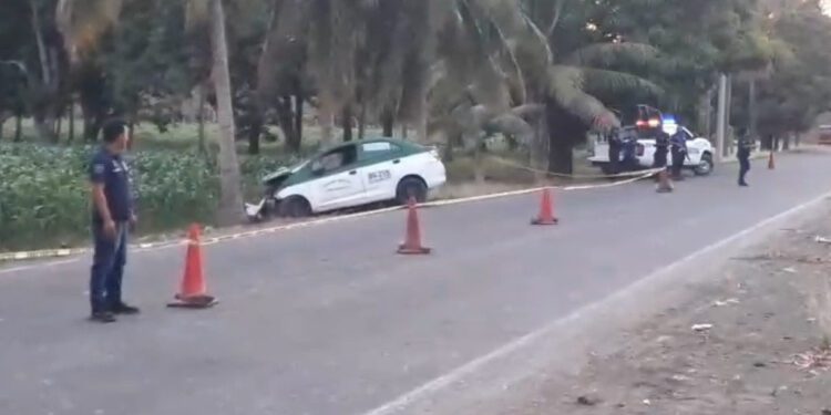 ¡Fin del viaje! Taxista pierde el control de su unidad, impacta palmera y fallece al instante
