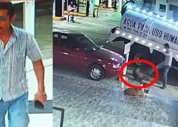 VIDEO | Video de maltrato animal en Miahuatlán enciende redes: “Es el hijo del exregidor”, acusan ciudadanos