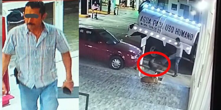 VIDEO | Video de maltrato animal en Miahuatlán enciende redes: “Es el hijo del exregidor”, acusan ciudadanos