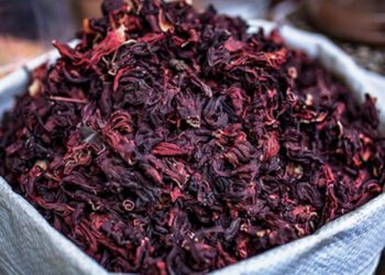 Jamaica: El superalimento mexicano que refresca, desintoxica y combate el estrés