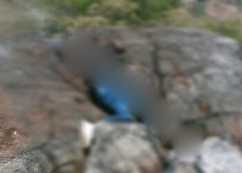 ¡Escalofriante feminicidio! Hallan cadáver putrefacto de joven desaparecidaen Pinotepa Nacional