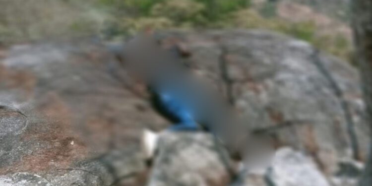 ¡Escalofriante feminicidio! Hallan cadáver putrefacto de joven desaparecidaen Pinotepa Nacional
