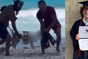 VIRAL | ¡Horroroso! Entró al mar para salvar a una amiga… y su cuerpo apareció días después, devorado por tiburones