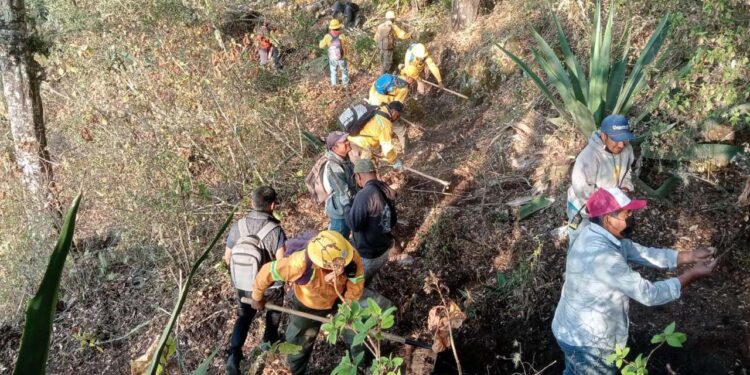 Hacen frente a los incendios en este momento 632 combatientes.