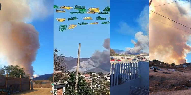 VIDEOS | Impresionante incendio en Santo Domingo Tomaltepec genera alerta y pánico