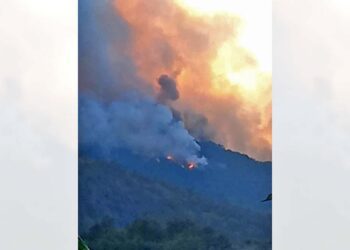Fallecen dos personas en incendio de El Manzanito, Peñoles