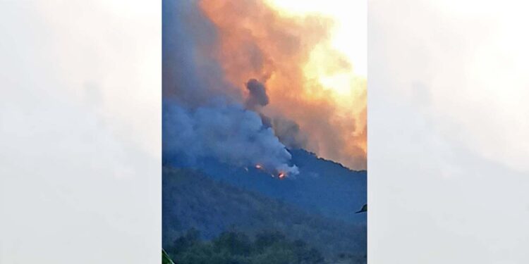 Fallecen dos personas en incendio de El Manzanito, Peñoles