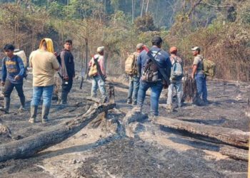Han liquidado tres incendios y cinco siguen activos en la Sierra Sur, Cuenca de Papaloapan, Valles Centrales, Costa y Mixteca.