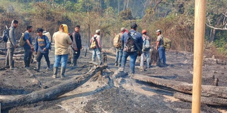 Han liquidado tres incendios y cinco siguen activos en la Sierra Sur, Cuenca de Papaloapan, Valles Centrales, Costa y Mixteca.