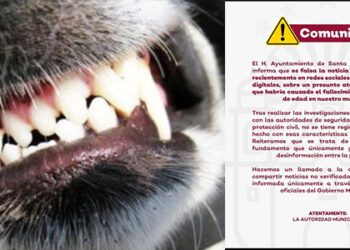 ¡Aterradora mentira! ¡Es Fake News! Desmienten ataque mortal de perro a niño en Santa Catarina Juquila
