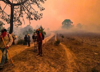 Oaxaca, 11 incendios activos; llega apoyo aéreo a Tlaxiaco