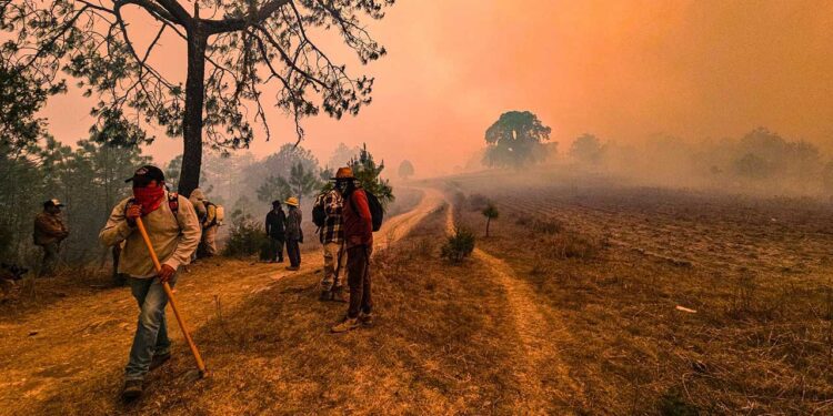 Oaxaca, 11 incendios activos; llega apoyo aéreo a Tlaxiaco