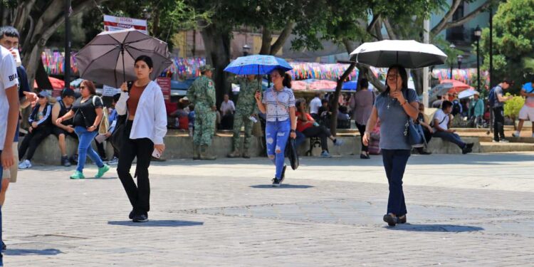 Foto: Adrián Gaytán // El SMN informó que las temperaturas máximas de 40 grados y más persistirán en varios estados de la República, incluyendo Oaxaca.