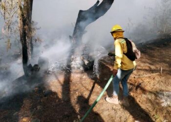 Oaxaca ocupó el octavo lugar nacional en incendios registrados este estiaje.
