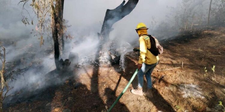 Oaxaca ocupó el octavo lugar nacional en incendios registrados este estiaje.