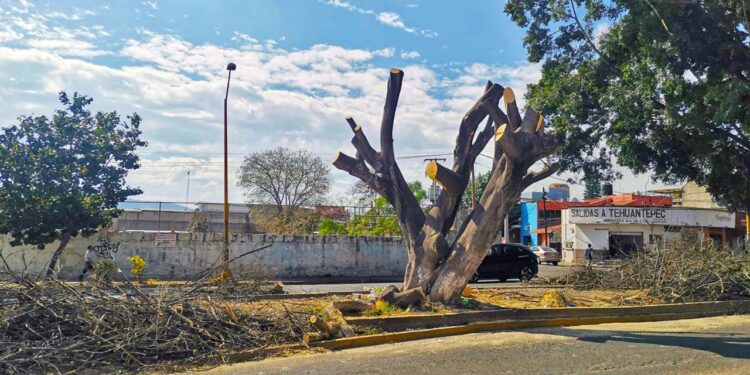 Foto: archivo // Las multas pueden ser de 5,657 pesos hasta los 113 mil 140 pesos.