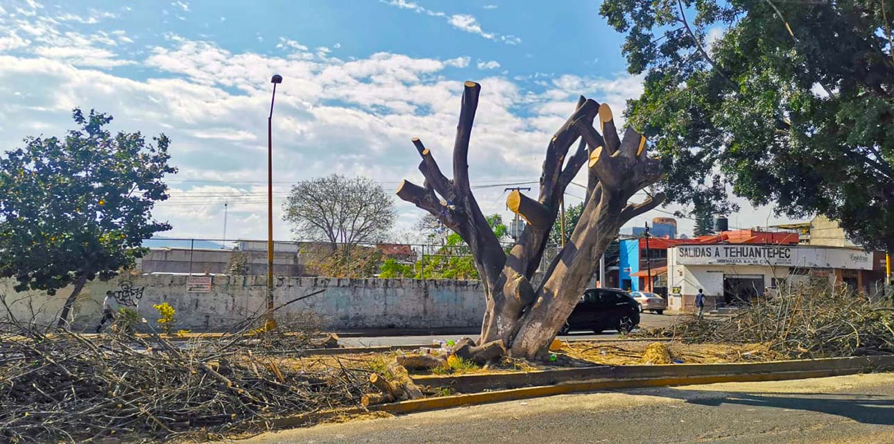 Foto: archivo // Las multas pueden ser de 5,657 pesos hasta los 113 mil 140 pesos.