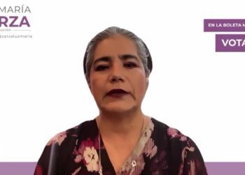 La doctora Luz María Zarza propone recuperar las formas de impartir justicia en las comunidades.