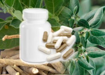 Ashwagandha, , se ha vuelto tendencia: ¿qué es?¿qué riesgos conlleva?