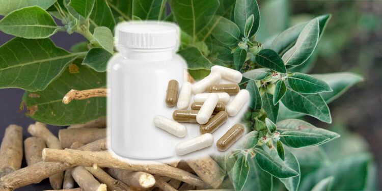 Ashwagandha, , se ha vuelto tendencia: ¿qué es?¿qué riesgos conlleva?