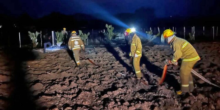 Controlan incendio en terrenos baldíos.