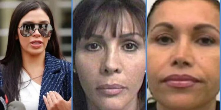 Sin mujeres no hay paraíso; el árbol genealógico del Chapo: