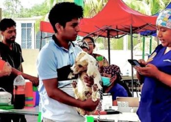 UABJO lleva a la Cañada Jornadas de Esterilización Canina y Felina