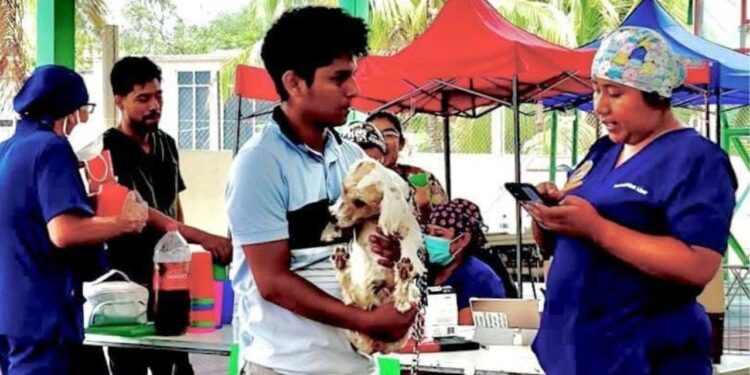 UABJO lleva a la Cañada Jornadas de Esterilización Canina y Felina