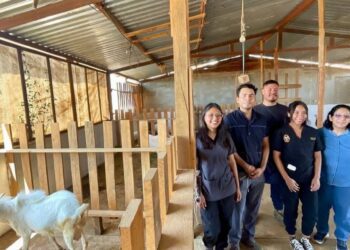 Investigadora UABJO apuesta por conservación de la Cabra Pastoreña, una raza pura de Oaxaca
