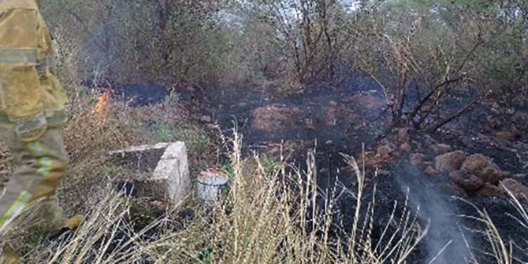 El fuego ya había consumido más de una hectárea de pastizales y matorrales.