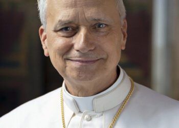 Vaticano publica la foto oficial del papa León XIV y el escudo que utilizará en su pontificado, ¿qué significa?