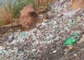 Retiran recicladores de basura en Cuicatlán; municipio quema tiradero