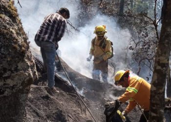 Incendios queman 8 mil 289 veces la superficie de El Llano